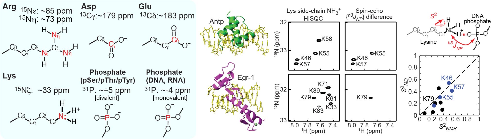 charged moieties analyzed by NMR