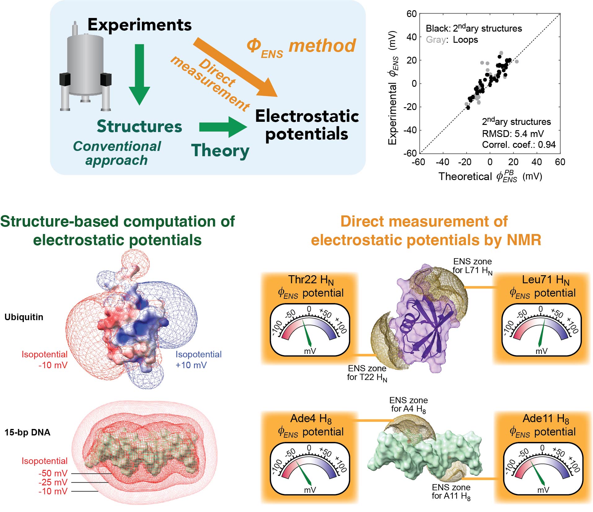 Direct measurement of electrostatic potentials