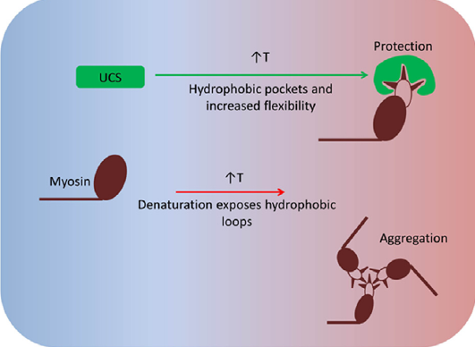 Oberhauser-Fig3 