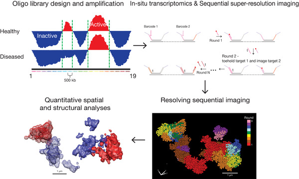 An illustration of how we are comparing the structural and transcriptional landscapes of healthy and diseased.