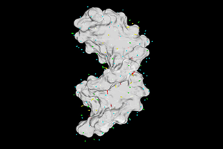 adj_dna_dipole