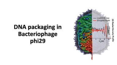 dna-packaging-small