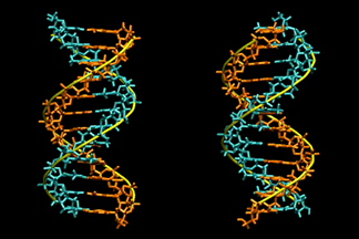 adj_melt_a12t12_spin_2